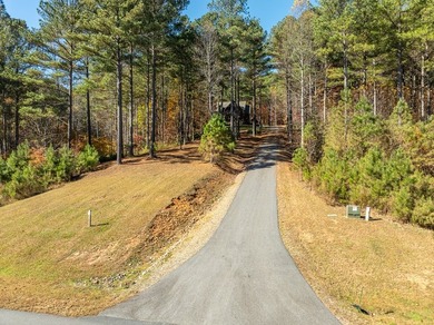 Stunning Craftsman Farmhouse in the Gated Community of Thirteen - photo 3