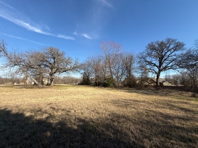 1 Acre Lake Subdivision Lot - The Shores - Corsicana, TX - photo 35