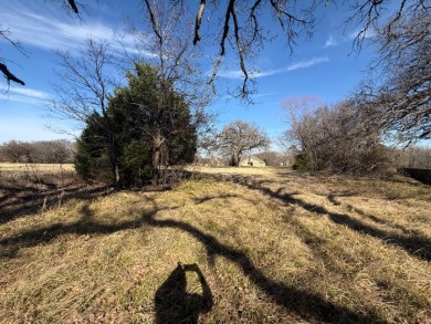 1 Acre Lake Subdivision Lot - The Shores - Corsicana, TX - photo 16