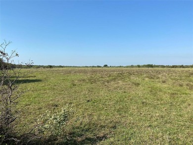 Cedar Creek Lake Commercial For Sale in Mabank Texas
