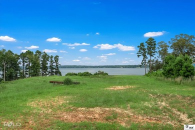 Build your dream lake home on beautiful Lake D'Arbonne! Lot 2 in - photo 2