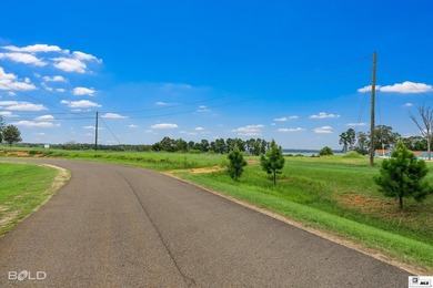Build your dream lake home on beautiful Lake D'Arbonne! Lot 2 in - photo 3