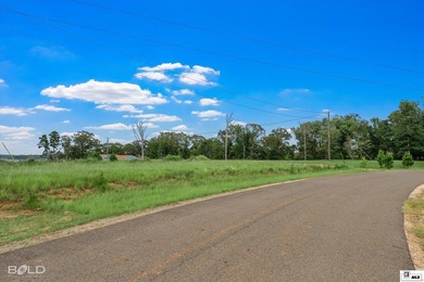 Build your dream lake home on beautiful Lake D'Arbonne! Lot 2 in - photo 5