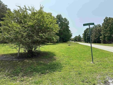 If you've been searching for a ready-to-build lot near Bull - photo 6