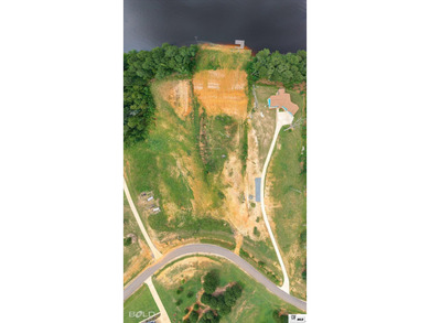 Build your dream lake home on beautiful Lake D'Arbonne! Lot 2 in - photo 6