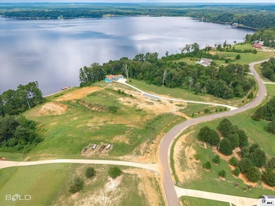 Build your dream lake home on beautiful Lake D'Arbonne! Lot 2 in - photo 10
