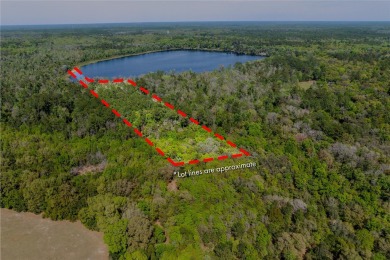Lake Melrose Acreage For Sale in Melrose Florida