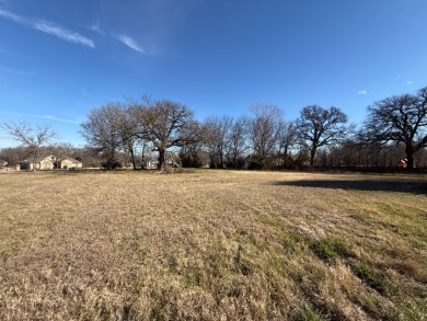 1 Acre Lake Subdivision Lot - The Shores - Corsicana, TX - photo 14