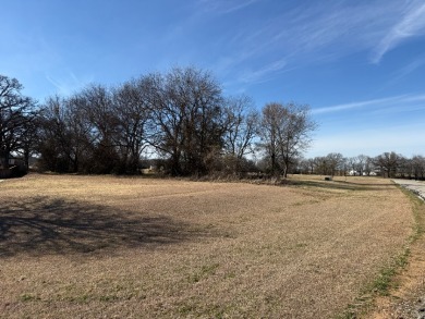 1 Acre Lake Subdivision Lot - The Shores - Corsicana, TX - photo 5