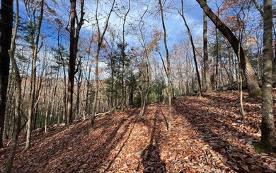 Lake Dakwa Lot Sale Pending in Ellijay Georgia