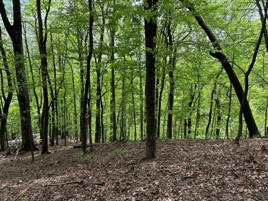 Lake Sconti Lot For Sale in Big Canoe Georgia