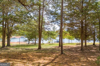 **Lake Hartwell Lakefront Home - Built in 2023!** Step into - photo 6
