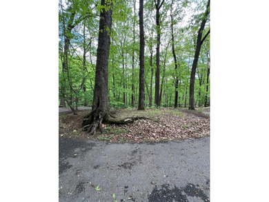 Cove Lake Lot For Sale in Dawson Georgia