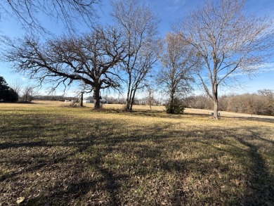 1 Acre Lake Subdivision Lot - The Shores - Corsicana, TX - photo 20