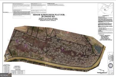 Lake Acreage For Sale in Bethlehem, Georgia