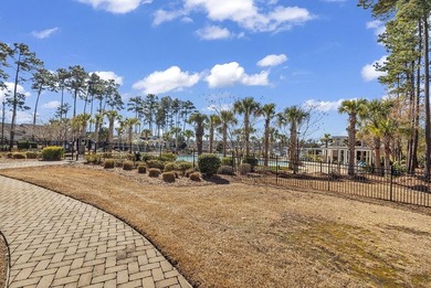 Located in the highly sought-after Emmens Preserve community - photo 34