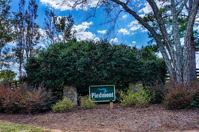 PLEASE FIND VIDEO TOUR LINK Custom-built Southern Living-style - photo 46
