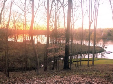 (private lake, pond, creek) Lot For Sale in Moneta Virginia