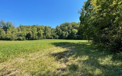 37+ ACRES WITH RIVER FRONTAGE CLOSE TO DOWNTOWN HAYESVILLE - photo 3