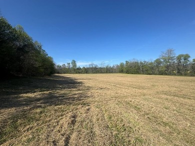 37+ ACRES WITH RIVER FRONTAGE CLOSE TO DOWNTOWN HAYESVILLE - photo 4