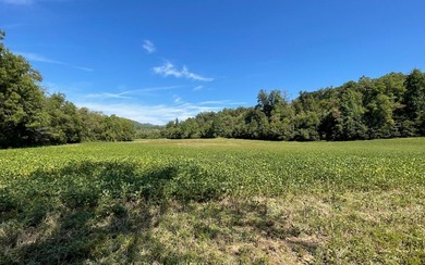 37+ ACRES WITH RIVER FRONTAGE CLOSE TO DOWNTOWN HAYESVILLE - photo 5