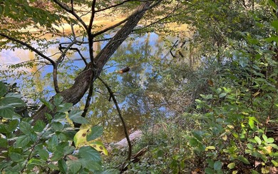 37+ ACRES WITH RIVER FRONTAGE CLOSE TO DOWNTOWN HAYESVILLE - photo 6