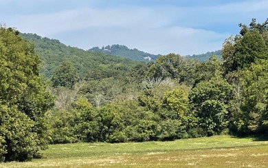 37+ ACRES WITH RIVER FRONTAGE CLOSE TO DOWNTOWN HAYESVILLE - photo 7