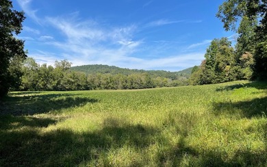 37+ ACRES WITH RIVER FRONTAGE CLOSE TO DOWNTOWN HAYESVILLE - photo 8