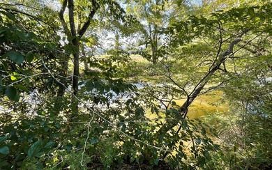 37+ ACRES WITH RIVER FRONTAGE CLOSE TO DOWNTOWN HAYESVILLE - photo 9