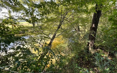 37+ ACRES WITH RIVER FRONTAGE CLOSE TO DOWNTOWN HAYESVILLE - photo 10