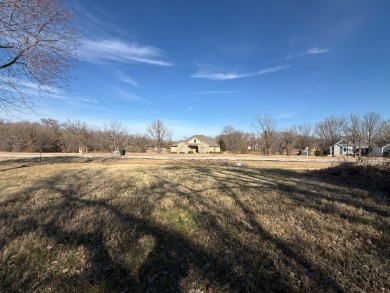 1 Acre Lake Subdivision Lot - The Shores - Corsicana, TX - photo 21
