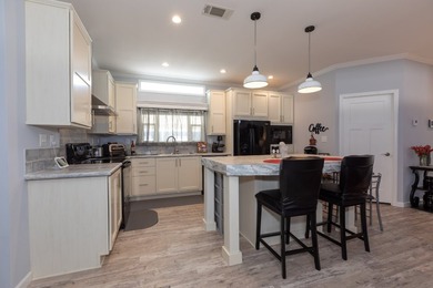 Welcome to this Resort style 55+ community and stunning, newer - photo 8