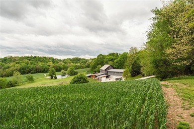 Exceptional 89.5+/- acre turnkey estate and sportsman's paradise - photo 2