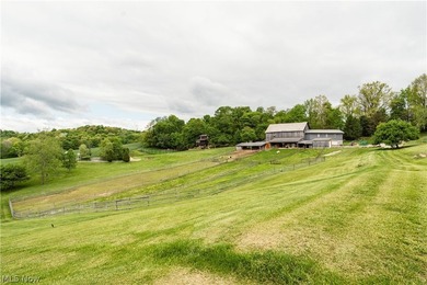 Exceptional 89.5+/- acre turnkey estate and sportsman's paradise - photo 3