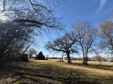 1 Acre Lake Subdivision Lot - The Shores - Corsicana, TX - photo 19