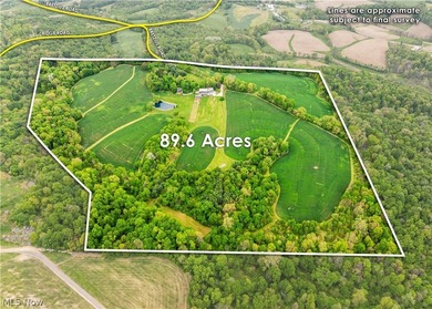 Exceptional 89.5+/- acre turnkey estate and sportsman's paradise - photo 4