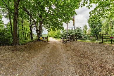 Exceptional 89.5+/- acre turnkey estate and sportsman's paradise - photo 5