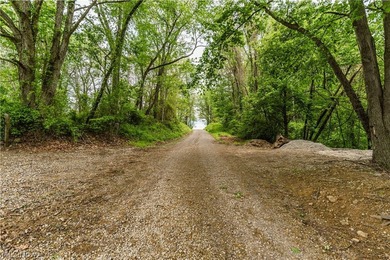 Exceptional 89.5+/- acre turnkey estate and sportsman's paradise - photo 6