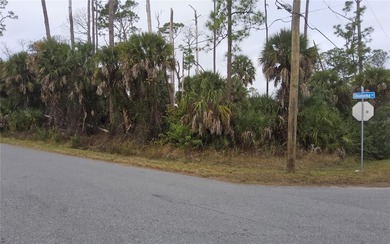 Build your dream home on this oversized corner residential lot - photo 2
