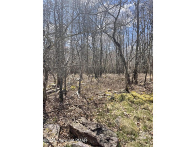 Lake Lot For Sale in Blakeslee, Pennsylvania