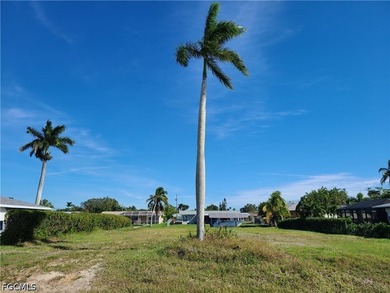 *** One of the best priced lots available in the prestigious - photo 5