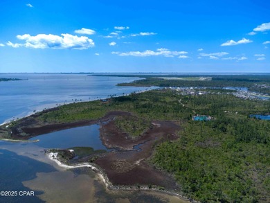 Rare +/-231-acre waterfront development opportunity with +/-8 - photo 17
