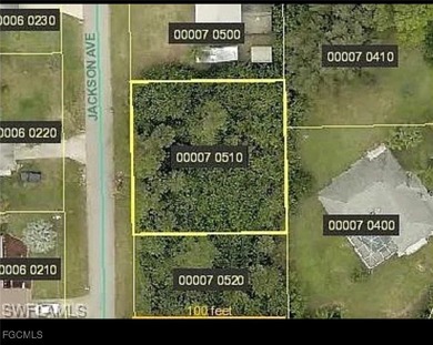 Lehigh Acres Area Lot For Sale in Lehigh Acres Florida