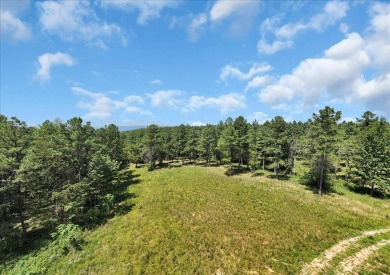 (private lake, pond, creek) Acreage For Sale in Guild Tennessee