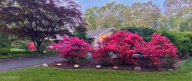 Welcome to this sprawling ranch tucked away on a tree-lined - photo 3