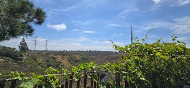 Best Home, Yard & View in the Entire Community! Spectacular - photo 37