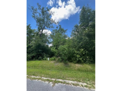 Lake Lot Sale Pending in Wewahitchka, Florida