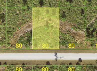 Port Charlotte Waterway Area Lot For Sale in Port Charlotte Florida