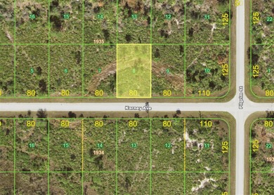 Seize the opportunity to build your Florida dream home on this 0 - photo 2