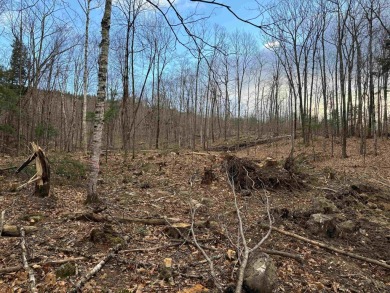 Lake Lot For Sale in New Durham, New Hampshire